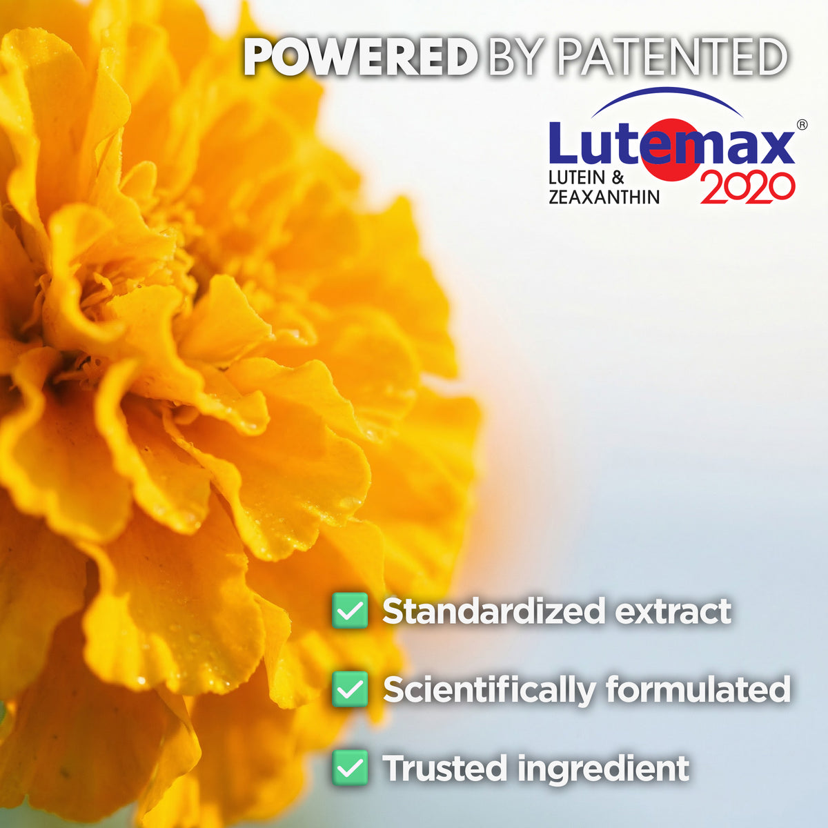 Kids Eye Health & Vision Support Chewables – Lutemax® 2020 Lutein + Zeaxanthin
